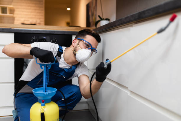Flea Control Services in Chatmoss, VA