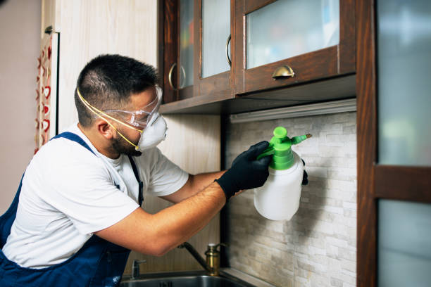 Best Bed Bug Extermination  in Chatmoss, VA