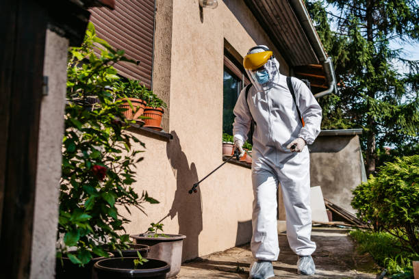 Best Pest Inspection Near Me  in Chatmoss, VA