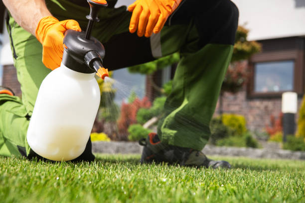  Chatmoss, VA Pest Control Pros