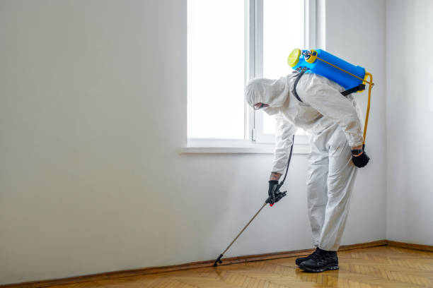 Best Best Pest Control Companies  in Chatmoss, VA