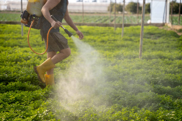 Best Insect Control  in Chatmoss, VA