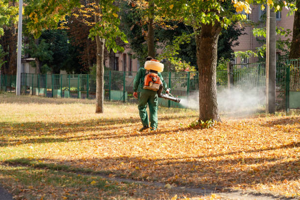 Best Pest Control Near Me  in Chatmoss, VA