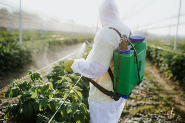 Best Best Pest Control Near Me  in Chatmoss, VA